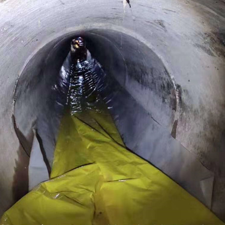 托里管道光固化修复